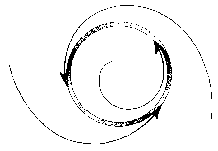 Grenzzykel-Attraktor