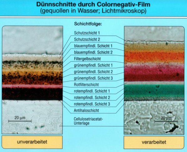 Schichtbau Farbfilm - realer Schnitt