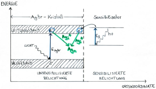 Sensibilisierung: Schema